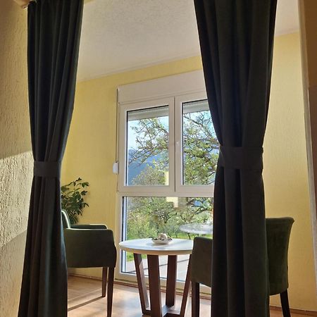 Apartman Sara Pluzine Bagian luar foto