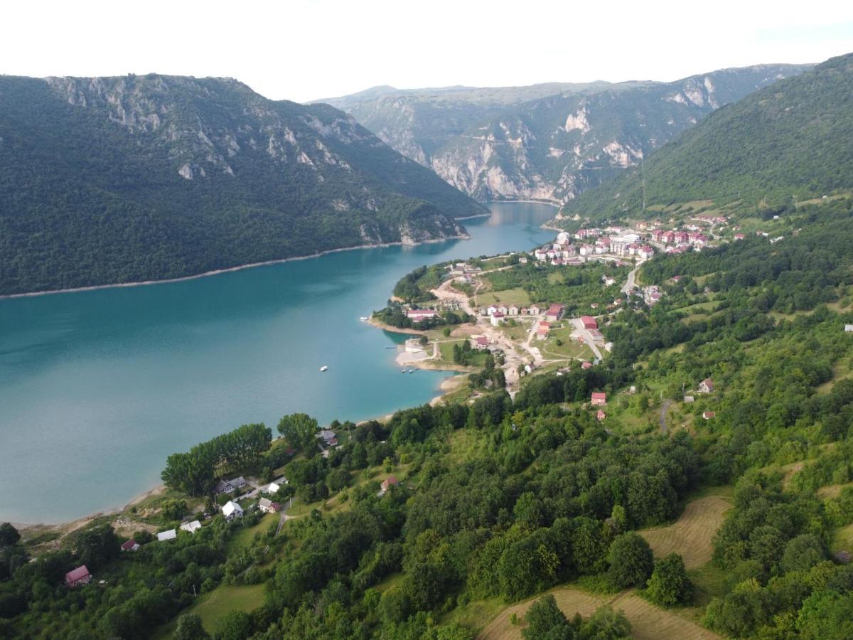 Apartman Sara Pluzine Bagian luar foto