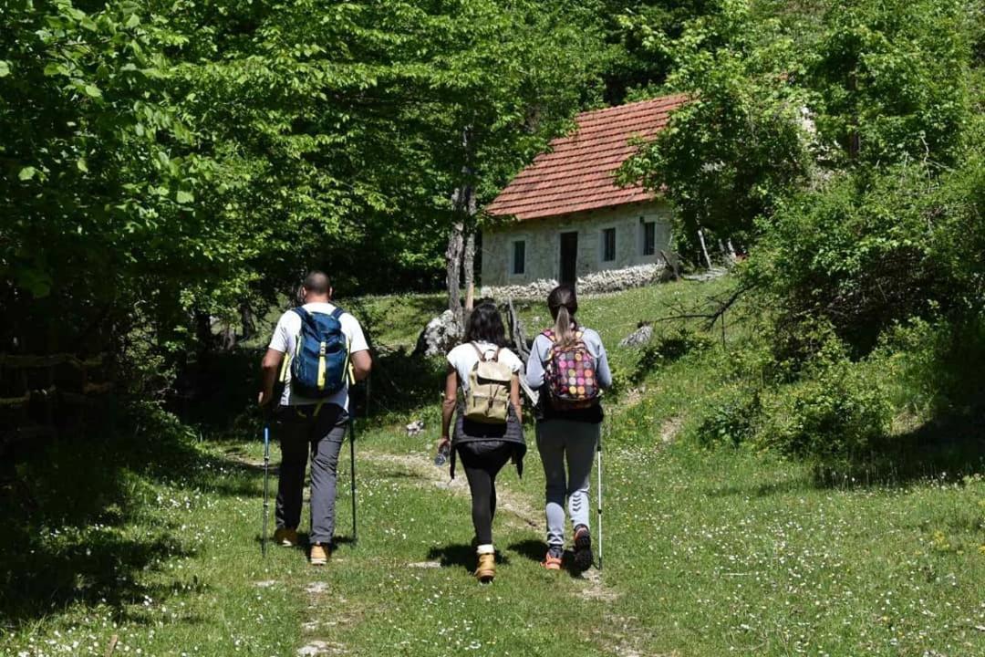 Apartman Sara Pluzine Bagian luar foto