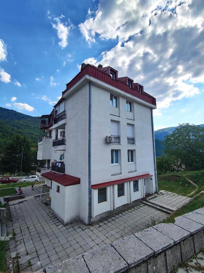 Apartman Sara Pluzine Bagian luar foto