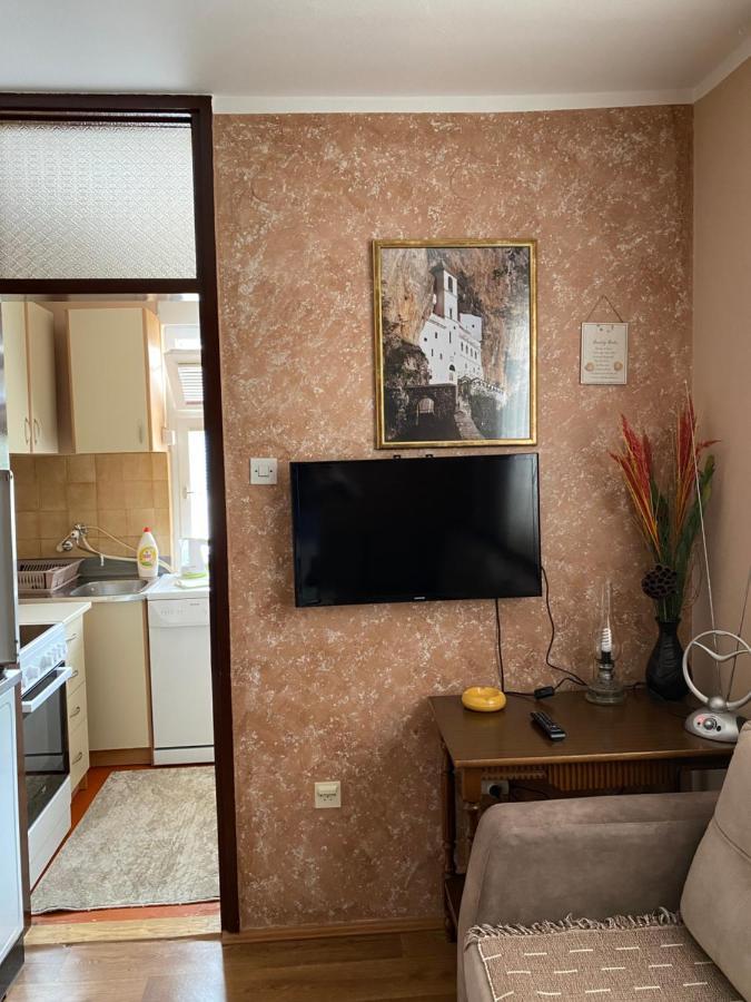 Apartman Sara Pluzine Bagian luar foto