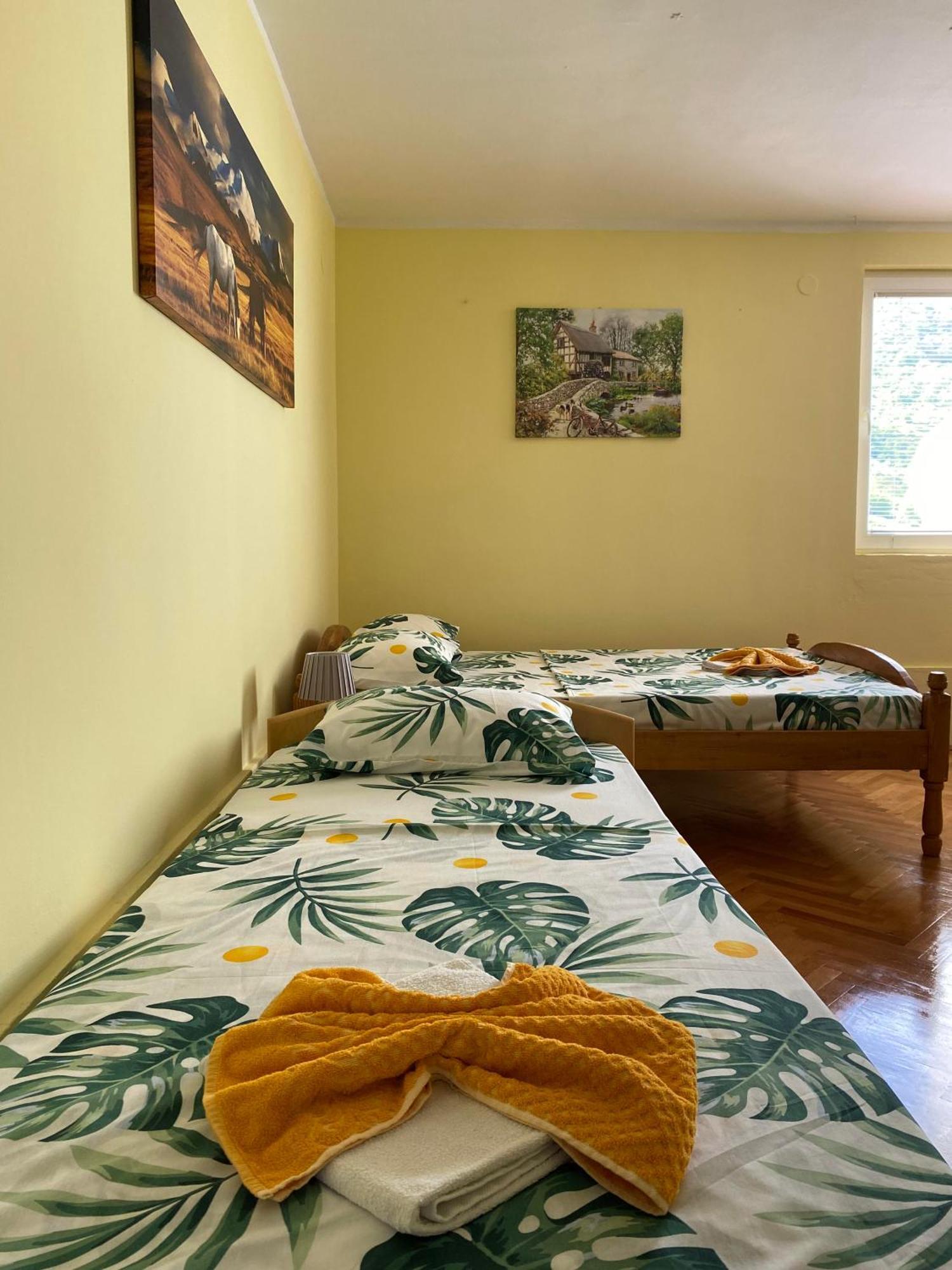 Apartman Sara Pluzine Bagian luar foto