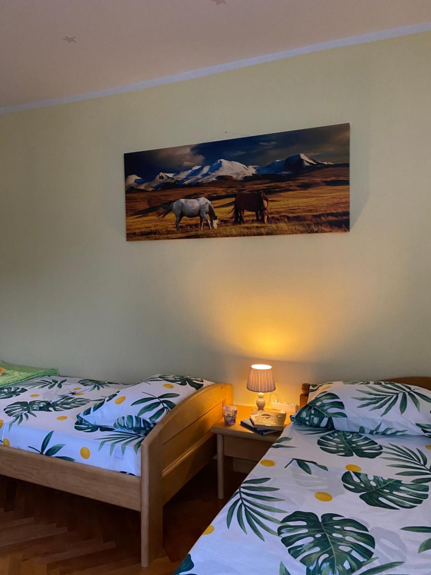 Apartman Sara Pluzine Bagian luar foto