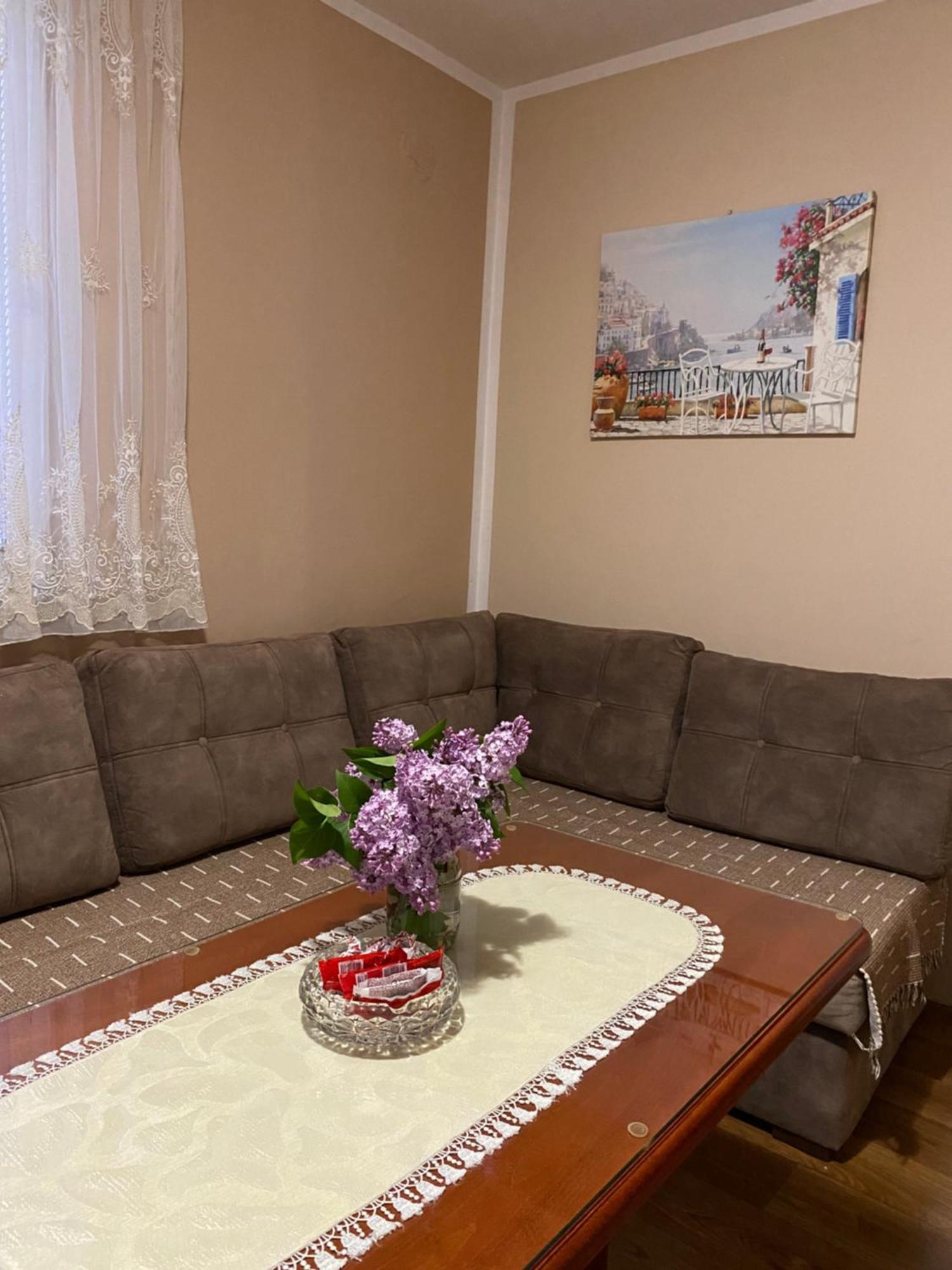 Apartman Sara Pluzine Bagian luar foto