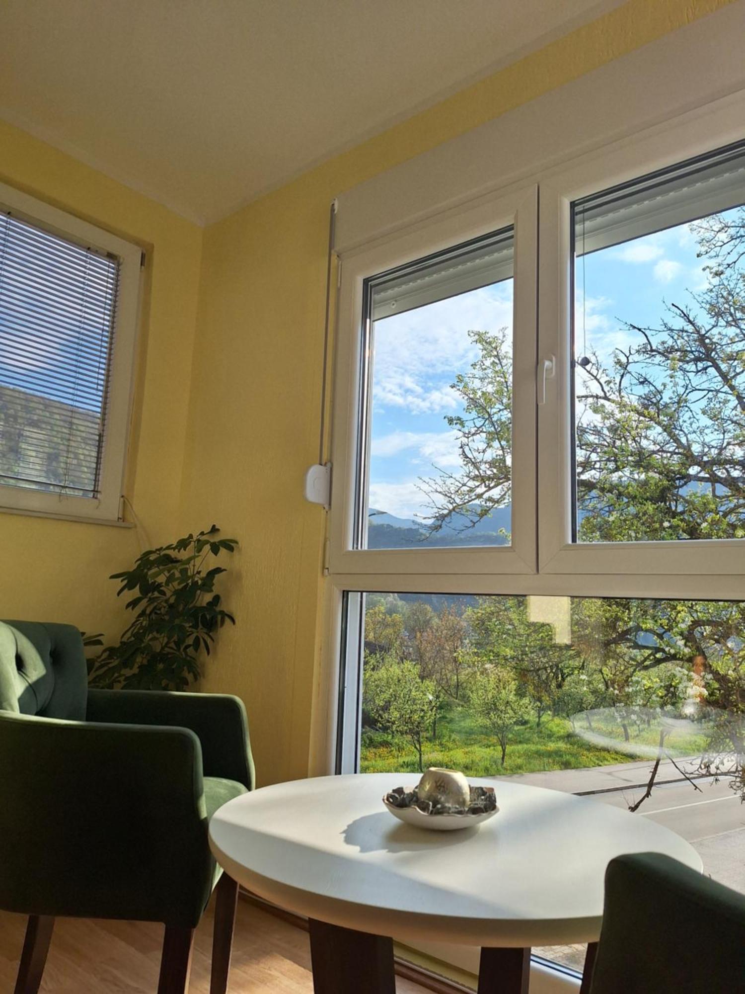 Apartman Sara Pluzine Bagian luar foto